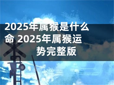 2025年属猴是什么命 2025年属猴运势完整版