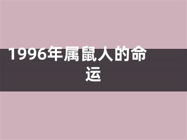 1996年属鼠人的命运
