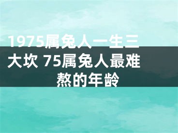 1975属兔人一生三大坎 75属兔人最难熬的年龄