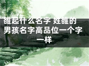 雒起什么名字 姓雒的男孩名字高品位一个字一样