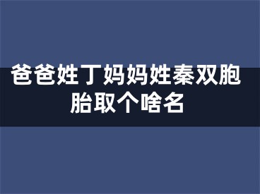 爸爸姓丁妈妈姓秦双胞胎取个啥名