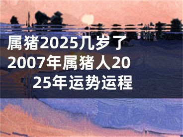 属猪2025几岁了 2007年属猪人2025年运势运程