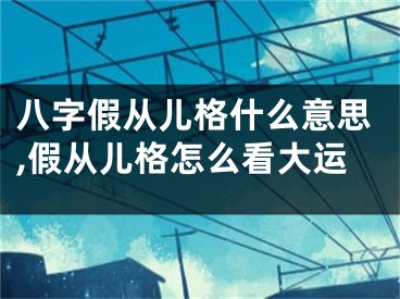 八字假从儿格什么意思,假从儿格怎么看大运