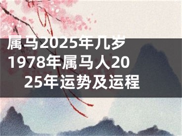 属马2025年几岁 1978年属马人2025年运势及运程