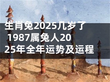 生肖兔2025几岁了 1987属兔人2025年全年运势及运程