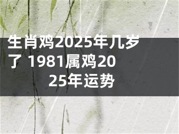 生肖鸡2025年几岁了 1981属鸡2025年运势