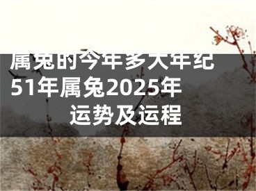 属兔的今年多大年纪 51年属兔2025年运势及运程