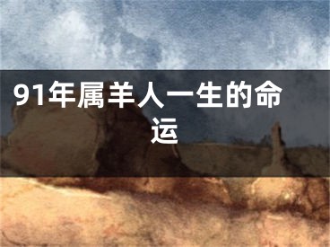 91年属羊人一生的命运