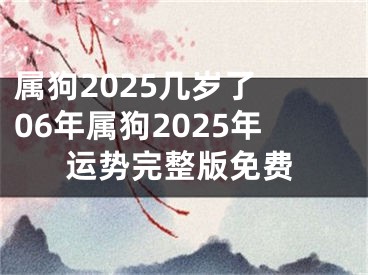 属狗2025几岁了 06年属狗2025年运势完整版免费