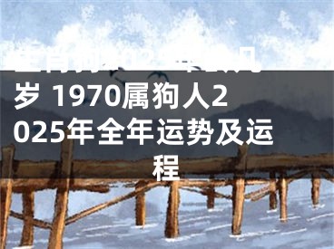 生肖狗2025年龄几岁 1970属狗人2025年全年运势及运程