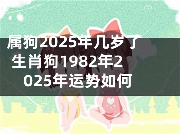 属狗2025年几岁了 生肖狗1982年2025年运势如何