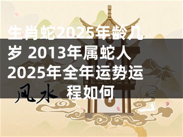 生肖蛇2025年龄几岁 2013年属蛇人2025年全年运势运程如何