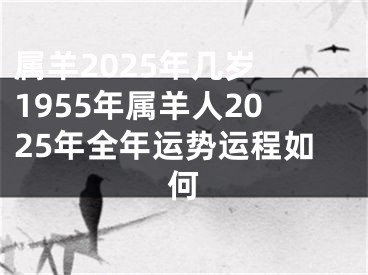 属羊2025年几岁 1955年属羊人2025年全年运势运程如何