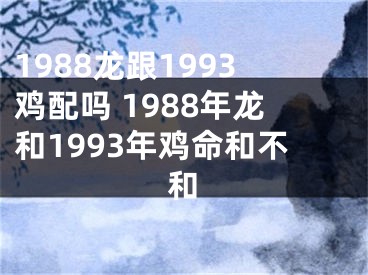 1988龙跟1993鸡配吗 1988年龙和1993年鸡命和不和