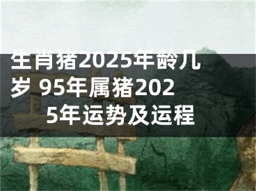 生肖猪2025年龄几岁 95年属猪2025年运势及运程