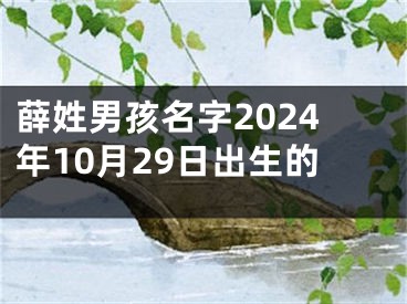 薛姓男孩名字2024年10月29日出生的