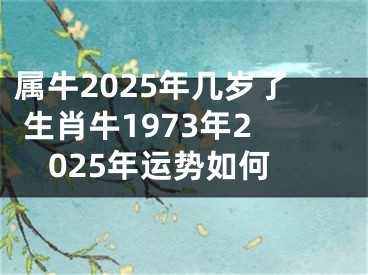 属牛2025年几岁了 生肖牛1973年2025年运势如何