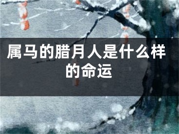 属马的腊月人是什么样的命运