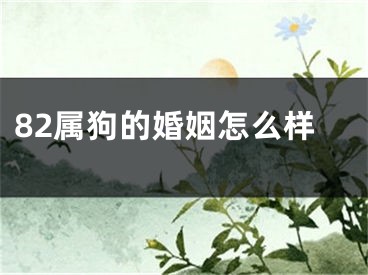 82属狗的婚姻怎么样