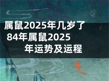 属鼠2025年几岁了 84年属鼠2025年运势及运程
