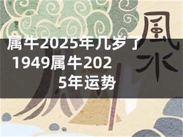 属牛2025年几岁了 1949属牛2025年运势