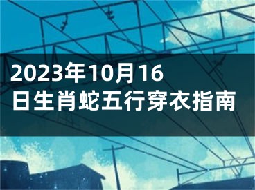 2023年10月16日生肖蛇五行穿衣指南