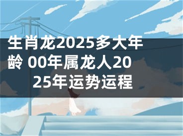生肖龙2025多大年龄 00年属龙人2025年运势运程