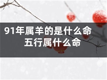 91年属羊的是什么命五行属什么命