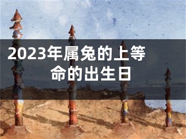 2023年属兔的上等命的出生日