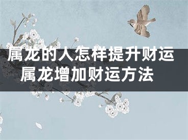 属龙的人怎样提升财运 属龙增加财运方法
