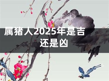 属猪人2025年是吉还是凶