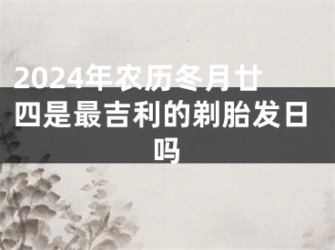 2024年农历冬月廿四是最吉利的剃胎发日吗