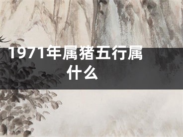 1971年属猪五行属什么 