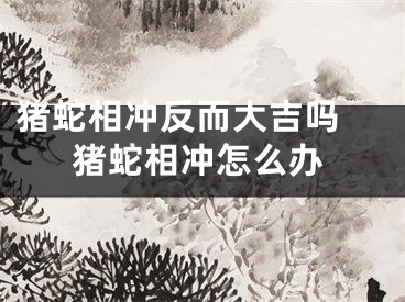 猪蛇相冲反而大吉吗 猪蛇相冲怎么办