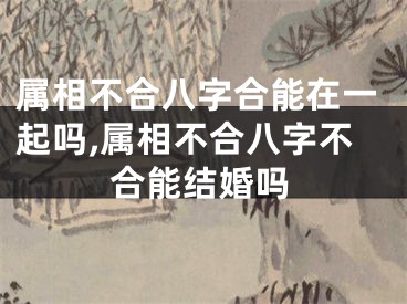 属相不合八字合能在一起吗,属相不合八字不合能结婚吗