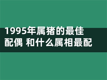 1995年属猪的最佳配偶 和什么属相最配