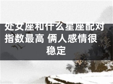 处女座和什么星座配对指数最高 俩人感情很稳定