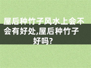 屋后种竹子风水上会不会有好处,屋后种竹子好吗?