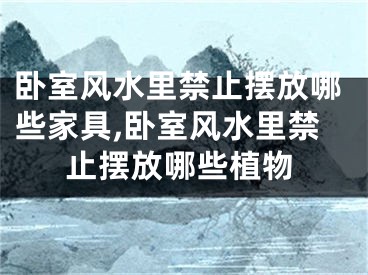 卧室风水里禁止摆放哪些家具,卧室风水里禁止摆放哪些植物