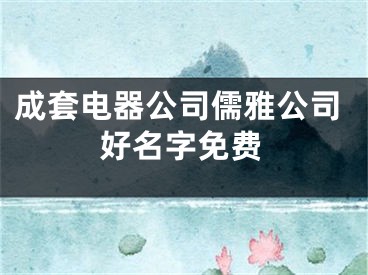 成套电器公司儒雅公司好名字免费