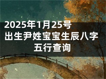 2025年1月25号出生尹姓宝宝生辰八字五行查询