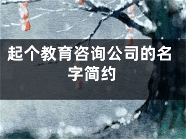 起个教育咨询公司的名字简约