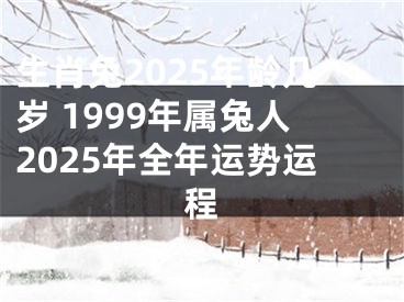 生肖兔2025年龄几岁 1999年属兔人2025年全年运势运程