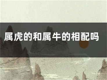 属虎的和属牛的相配吗