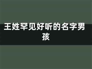 王姓罕见好听的名字男孩