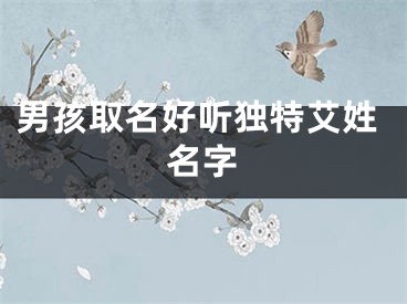 男孩取名好听独特艾姓名字