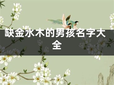 缺金水木的男孩名字大全