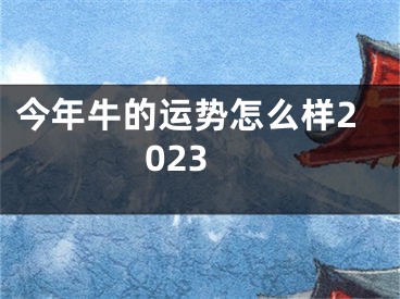 今年牛的运势怎么样2023