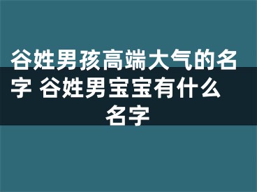 谷姓男孩高端大气的名字 谷姓男宝宝有什么名字