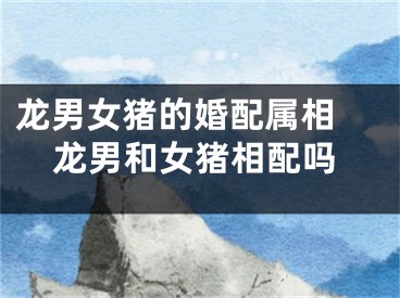 龙男女猪的婚配属相 龙男和女猪相配吗